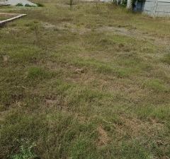 Plot For Sale in Partapur