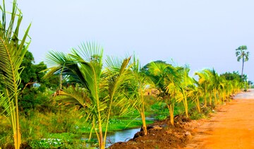  Plot – Garden View at Kunchanapalli - for Sale