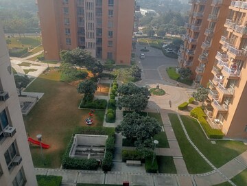3.5 BHK Apartment For Rent in Pioneer Park Phase 1, Sector 61