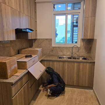 Kitchen in 2 BHK Apartment at Ambience Creacions, Sector 22 – for Rent