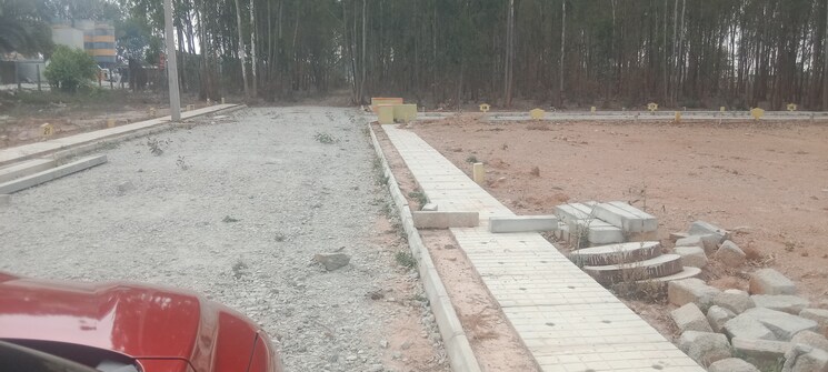 Exterior View, srinivasa nagar  800 Sq.Ft. Plot In Srinivasa Nagar Bangalore 8381664