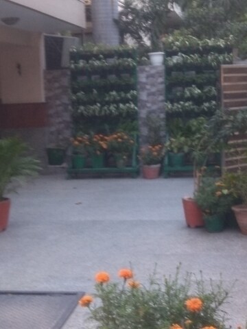 4 BHK Builder Floor For Rent in New Friends Colony