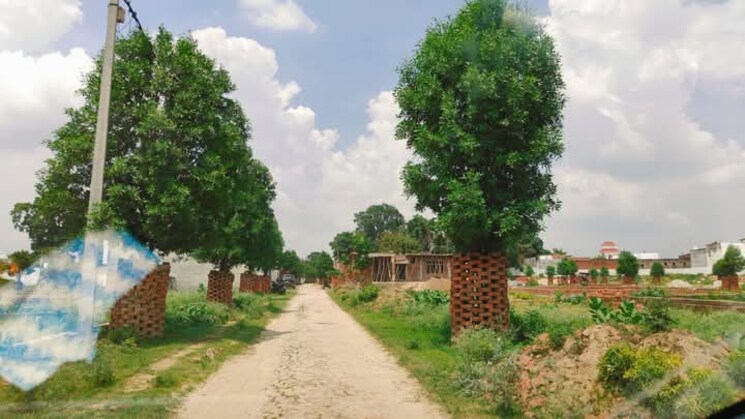 Garden, safedabad  1250 Sq.Yd. Plot In Safedabad Lucknow 8381881