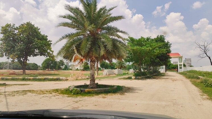 Garden, safedabad  1250 Sq.Yd. Plot In Safedabad Lucknow 8381881