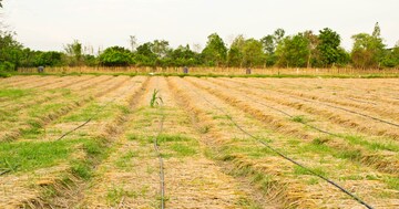 Plot Area in  Plot at Rajanukunte – for Sale