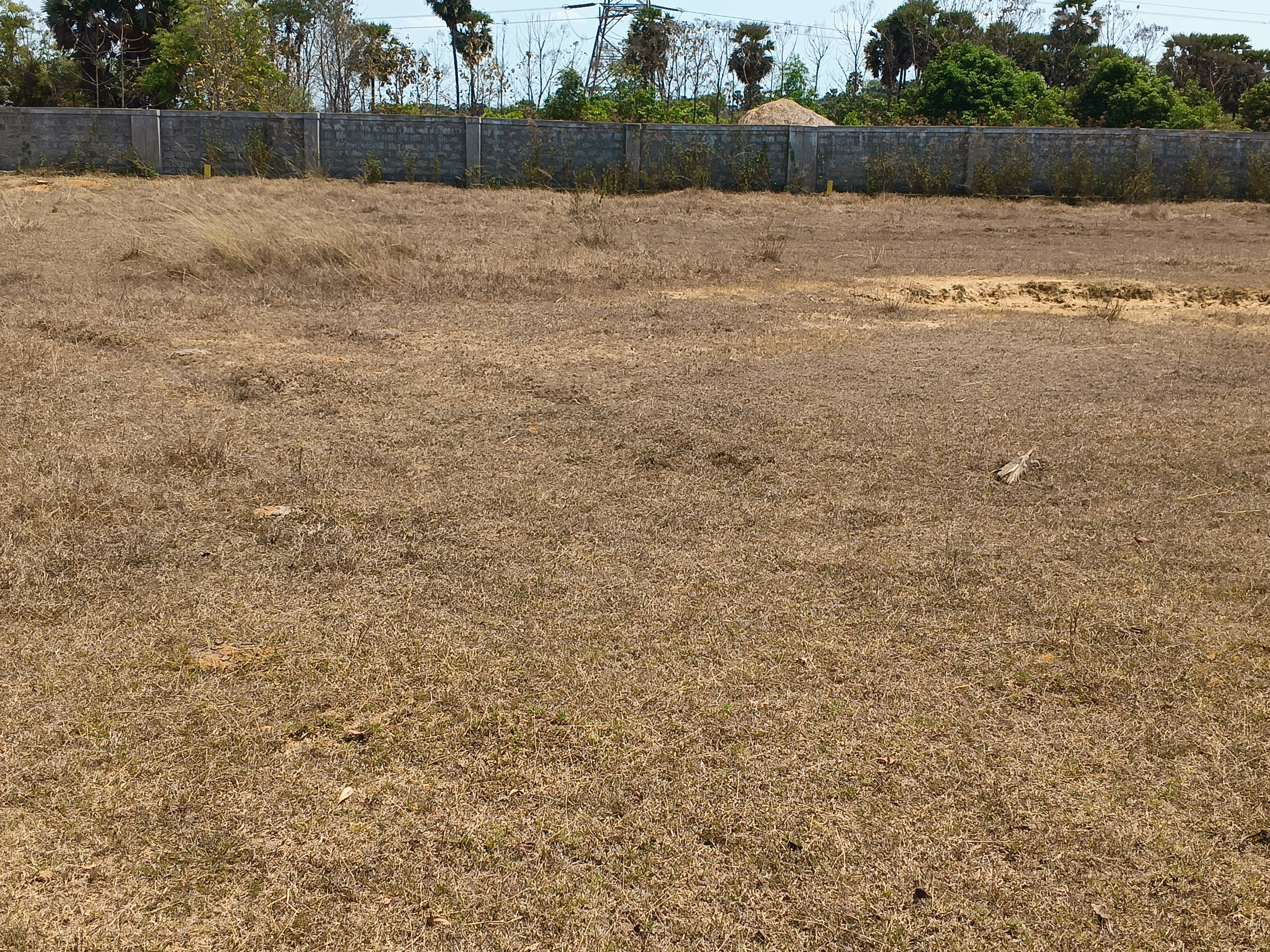 Plot For Sale in Luckie Township Phase 1