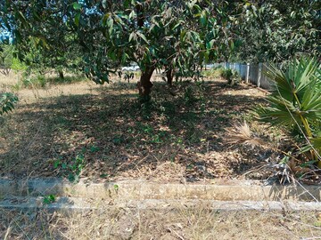 Plot Area in  Plot at Kothavalasa – for Sale