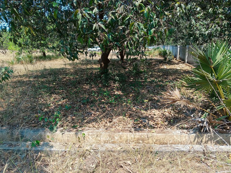 undefined, kothavalasa  200 Sq.Yd. Plot In Kothavalasa Vizag 8382428