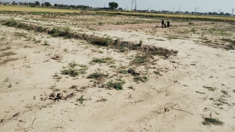 Exterior View, bamnikhera  160 Sq.Yd. Plot In Bamnikhera Palwal 8382621