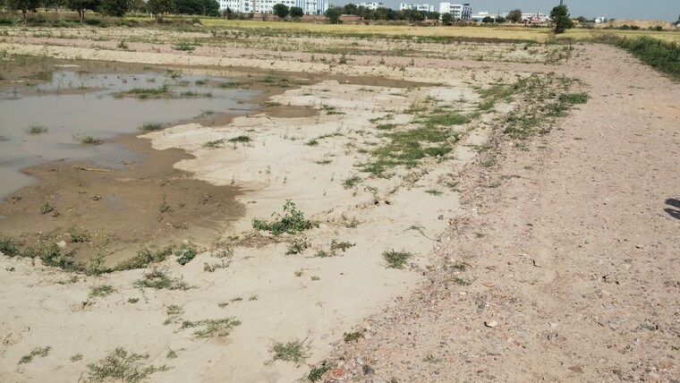 Exterior View, bamnikhera  160 Sq.Yd. Plot In Bamnikhera Palwal 8382621