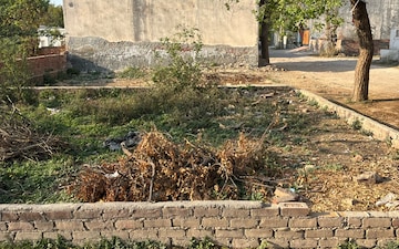 Plot For Sale in Sector 109