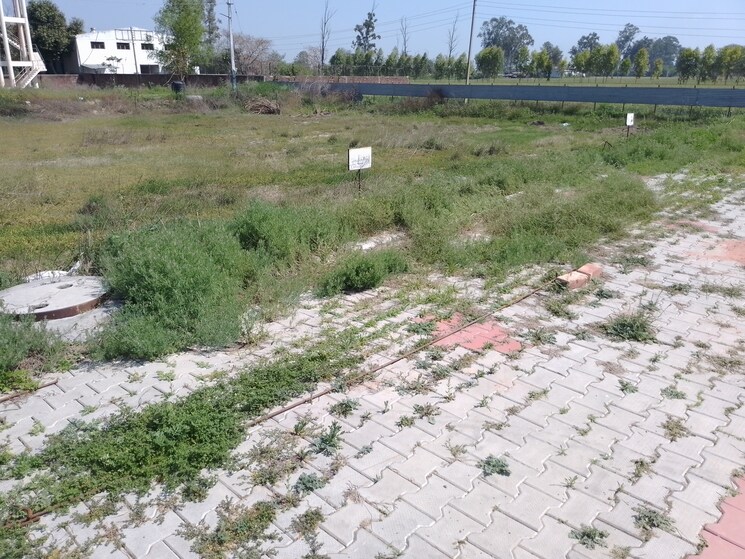 Exterior View, ludhiana chandigarh hwy  135 Sq.Yd. Plot In LudhianA Chandigarh Hwy Mohali 8382918