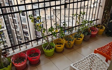 3.5 BHK Apartment For Sale in Godrej Nurture, Sector 150