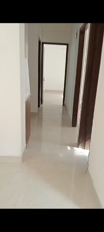 2.5 BHK Apartment For Rent in Signature Global Proxima, Sector 89