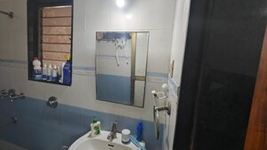 Bathroom in 1 BHK Apartment at Lok Upvan Apartment Phase 2, Vasant Vihar – for Sale