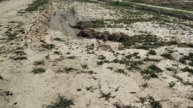 Exterior View, bamnikhera  240 Sq.Yd. Plot In Bamnikhera Palwal 8383735