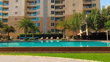 3 BHK Apartment For Rent in Ambience Tiverton Sector 50 Noida  8384883