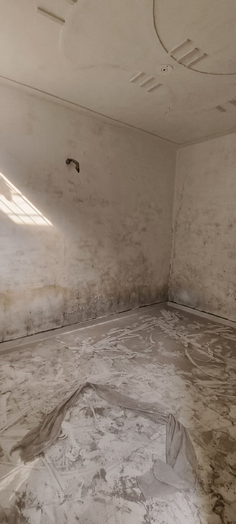 Room, sector 52 2 Bedroom 83 Sq.Yd. Independent House In Sector 52 Faridabad 8385157