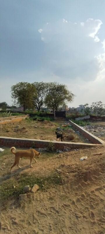  Plot – Exterior View View at Shouryapuram, Lal Kuan - for Sale