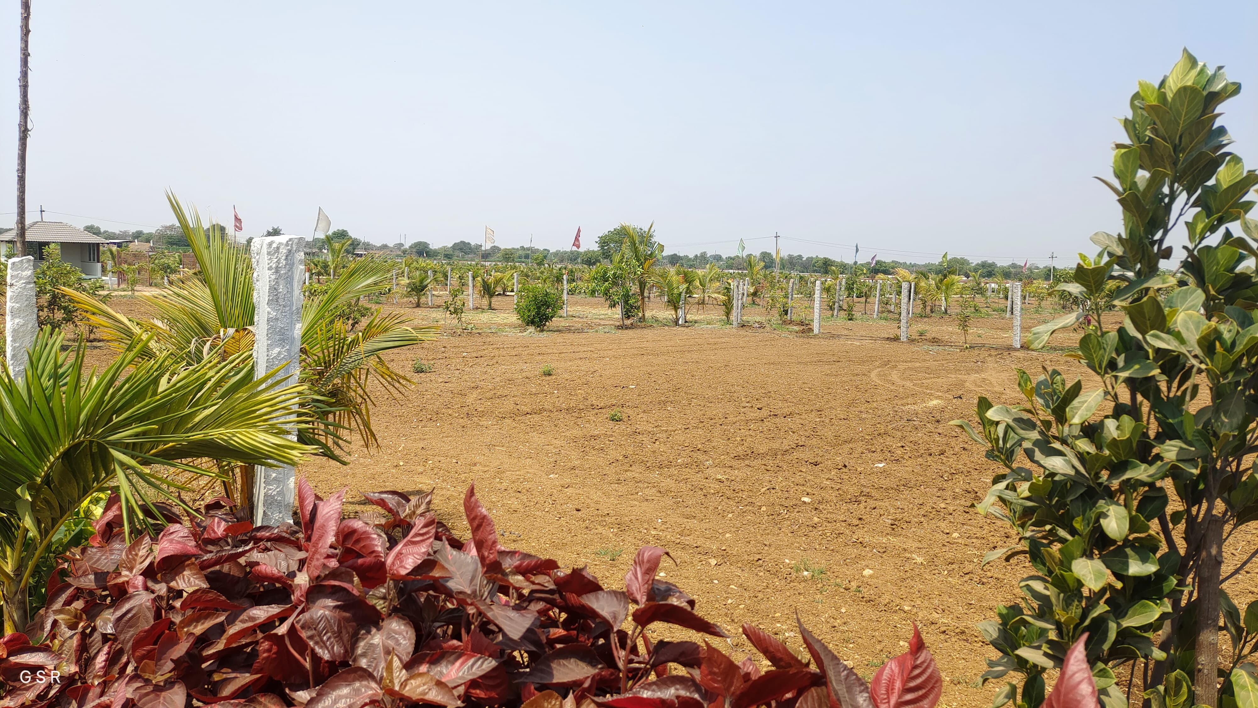 Plot For Sale in Tulip Farms