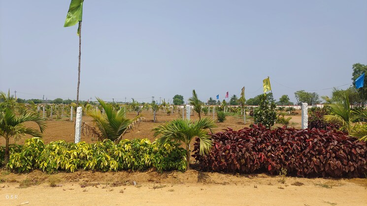 Exterior View, kandukur  440 Sq.Yd. Plot In Kandukur Hyderabad 8385609