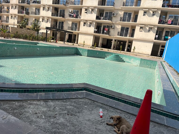 Balcony, signature-global-park 3 Bedroom 1119 Sq.Ft. Builder Floor In Sohna Sector 36 Gurgaon 8385636