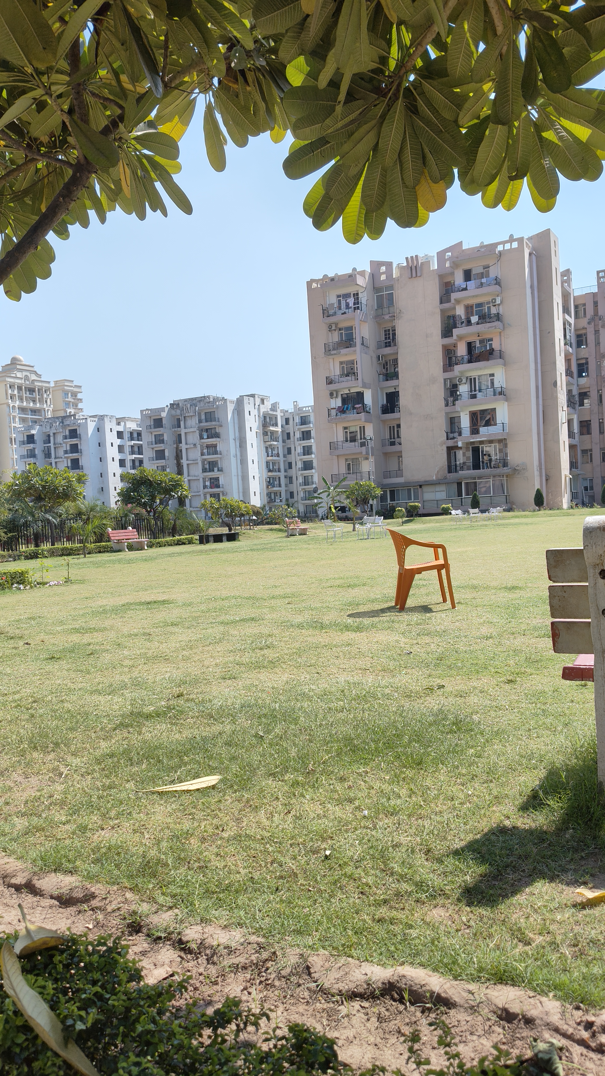 3.5 BHK + Servant Room Apartment For Sale in D R Estate