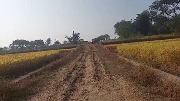Plot Area in  Plot at Tupudana – for Sale
