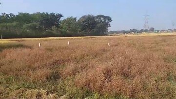 Plot Area in  Plot at Tupudana – for Sale