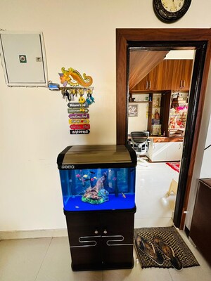 Furnished Amenities in 2.5 BHK Apartment at Anthem French Apartment, Bhangel – for Sale