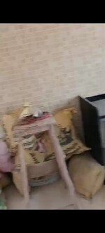 1 BHK + Pooja Room,Servant Room,Study Room,Extra Room 450 Sq.Ft. Apartment in Sindhudurg CHS Sion