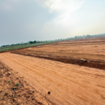 199 Sq.Yd. Plot in Dhatri County 2