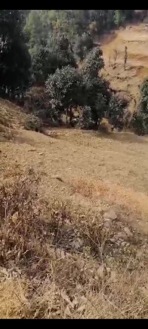  Land – Exterior View View at Mukteshwar - for Sale