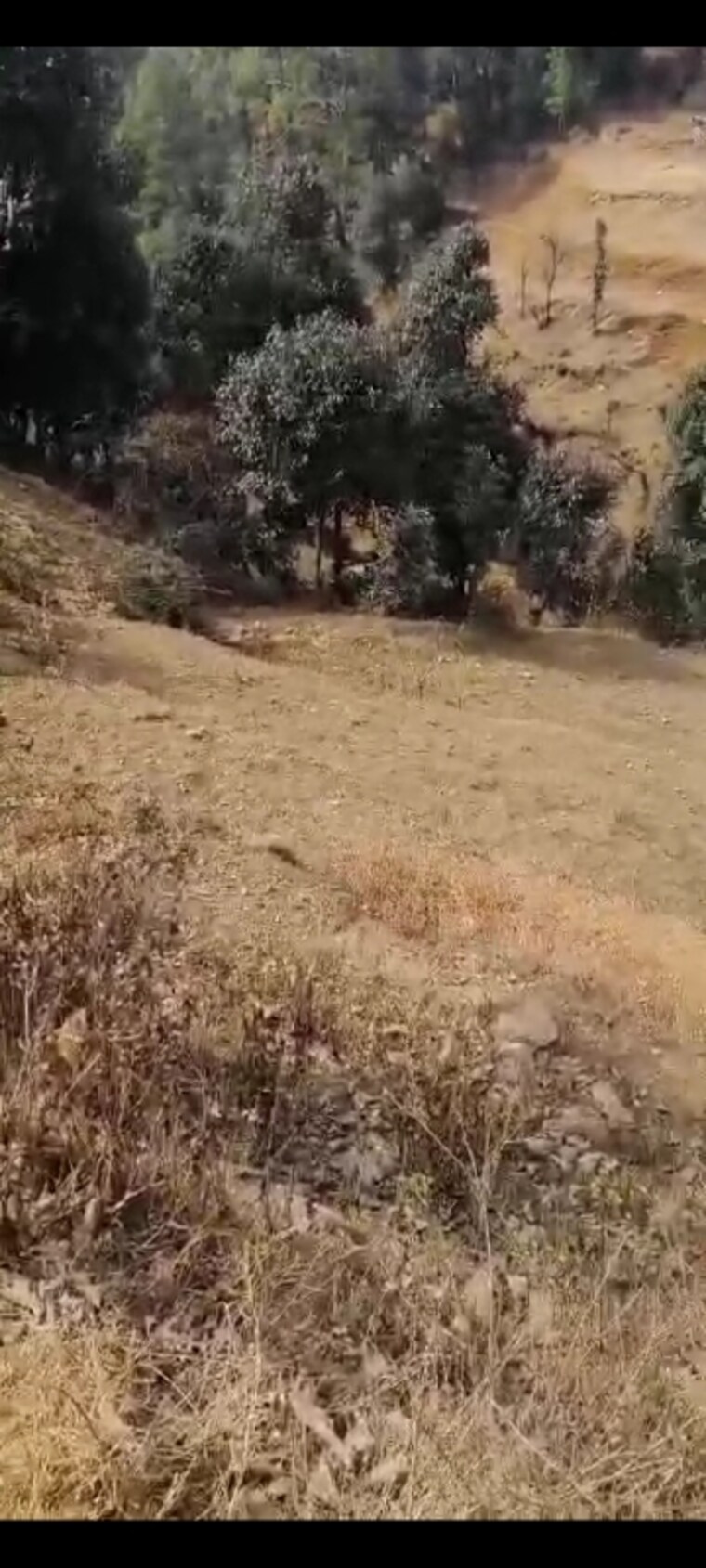 Exterior View, mukteshwar Commercial Land 4300 Sq.Ft. In Mukteshwar Nainital 8387389