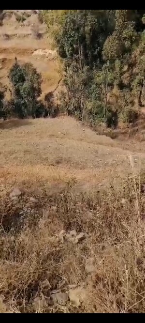  Land For Sale in Mukteshwar