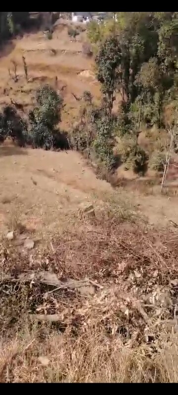  Land – Exterior View View at Mukteshwar - for Sale