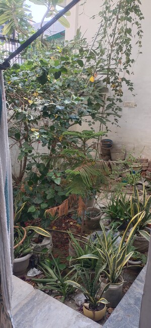 Balcony in 2 BHK Independent House at Kalindi Vihar – for Sale