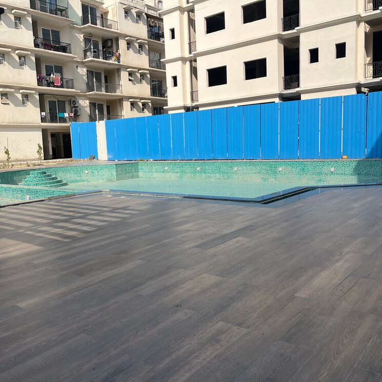 Swimming Pool, signature-global-park-4-and-5 3 Bedroom 1120 Sq.Ft. Apartment In Sohna Sector 34 Gurgaon 8387661