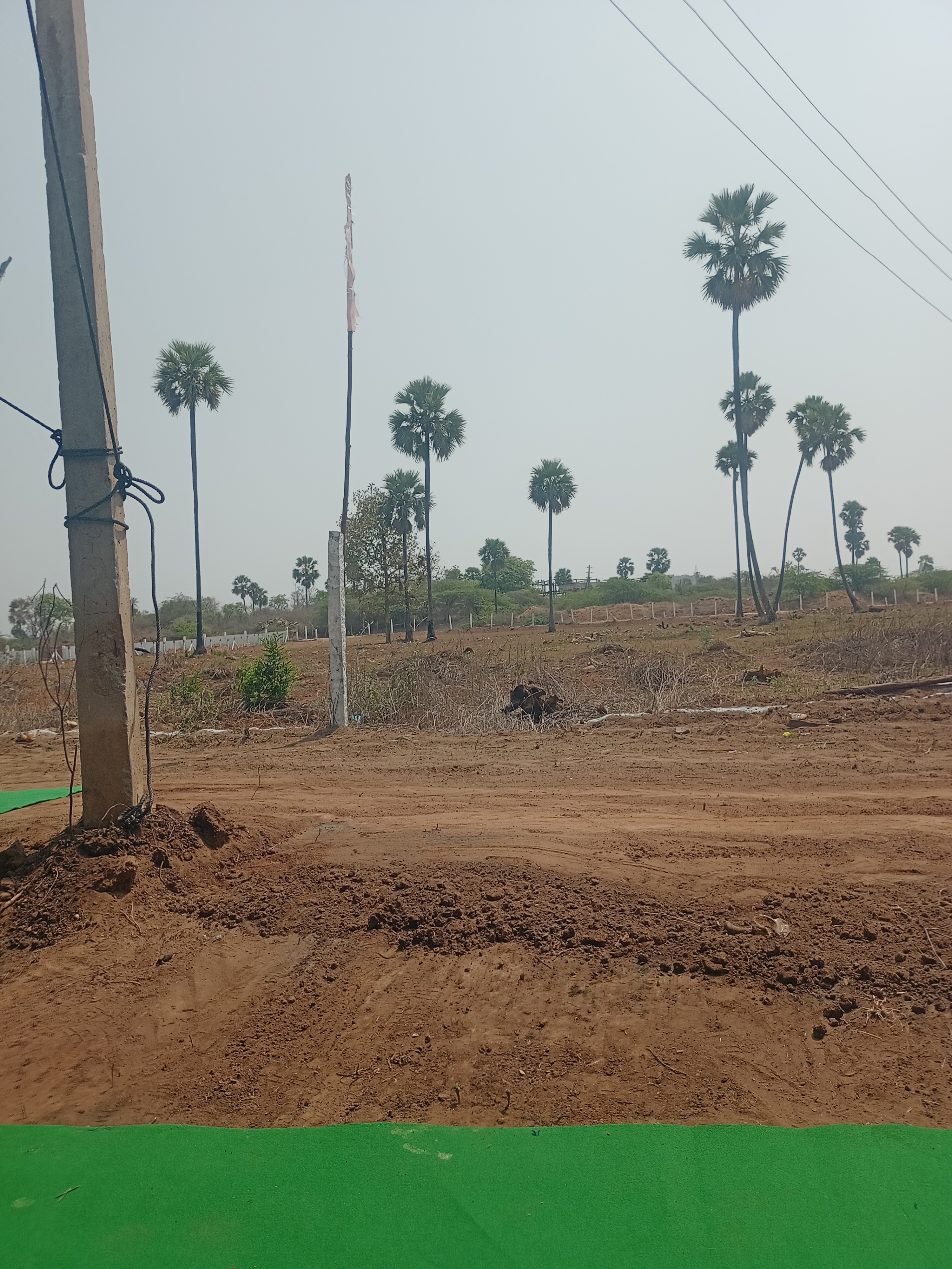 Plot For Sale in Taramatipet