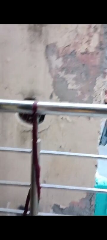 Balcony in 2 BHK Builder Floor at New Ashok Nagar – for Rent