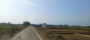  Land – Exterior View View at Naubasta Kala - for Sale