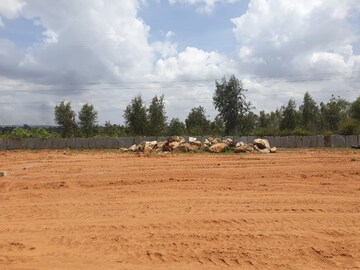  Plot For Sale in Chandapura