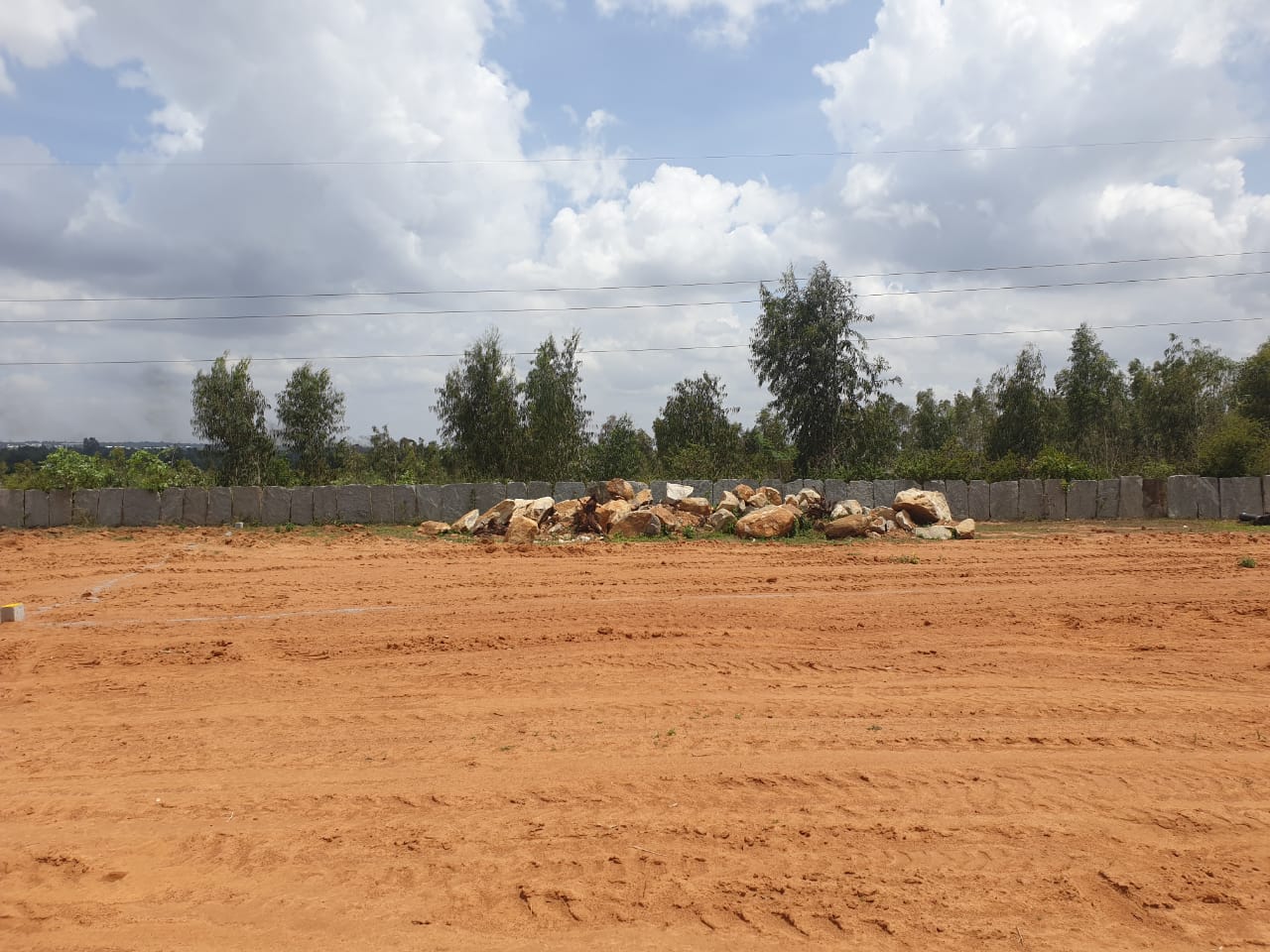 Plot For Sale in Ns Property For Sale Vars