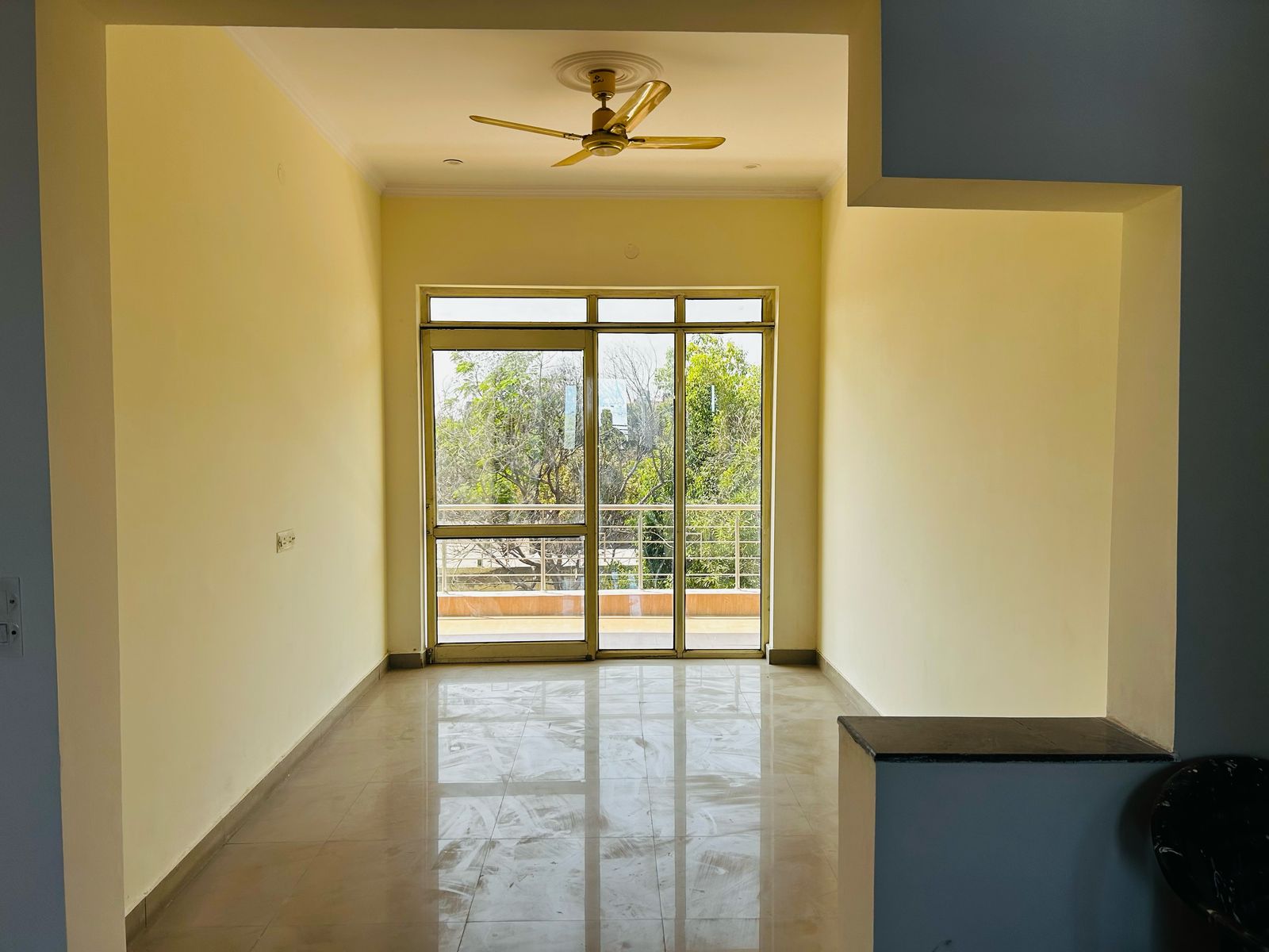 3 BHK + Study Room Builder Floor For Sale in Sector 43