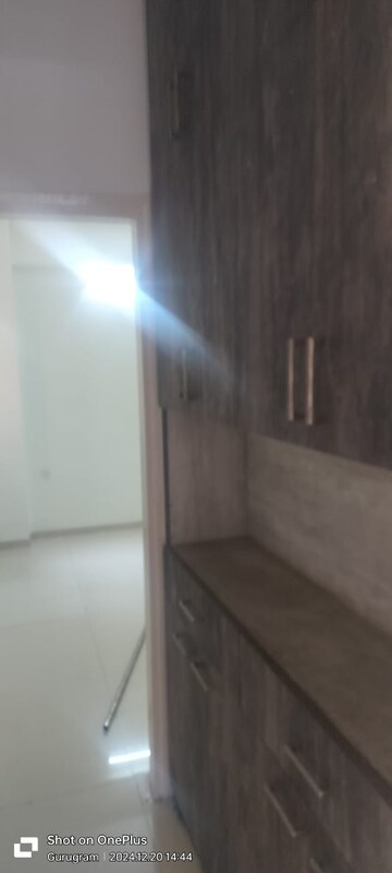 2 BHK Apartment For Rent in Tulip Lemon, Sector 69