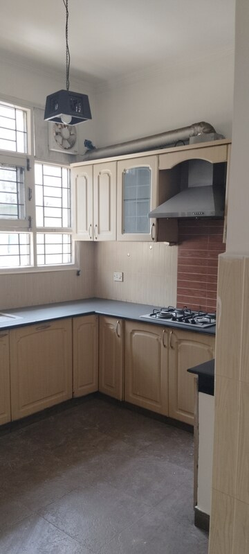 Kitchen in 3 BHK Builder Floor at Unitech South City II, Sector 50 – for Rent