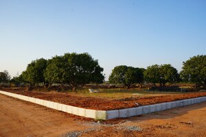  Plot – Exterior View View at Sri Tirumala Mercury Township, Mirkhanpet - for Sale