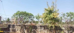  Plot – Exterior View View at Bhankrota - for Sale