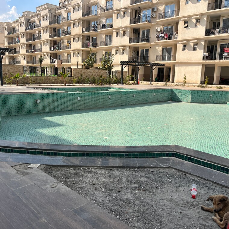 Swimming Pool, signature-global-park-4-and-5 3 Bedroom 1119 Sq.Ft. Independent House In Sohna Sector 34 Gurgaon 8389078