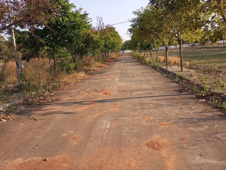 Exterior View, chandapura  1200 Sq.Yd. Plot In Chandapura Bangalore 8389814